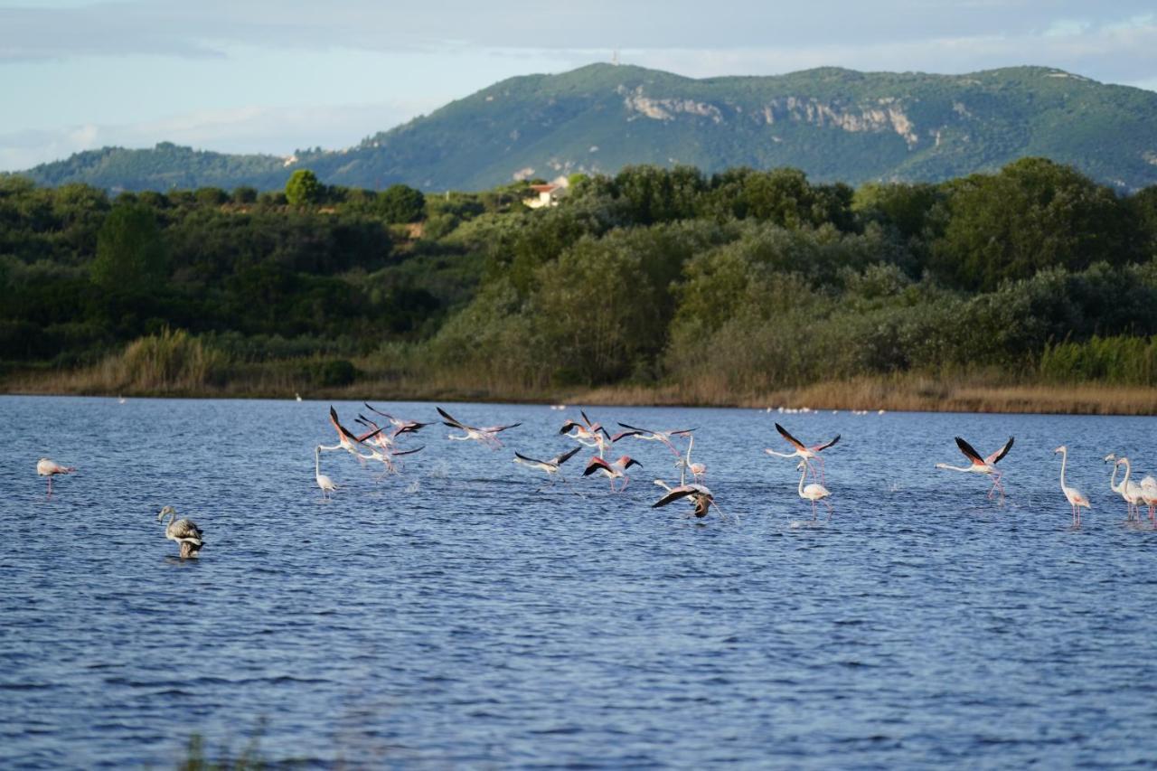Ágios Matthaíos Stefanias Prasoudi Beach מראה חיצוני תמונה